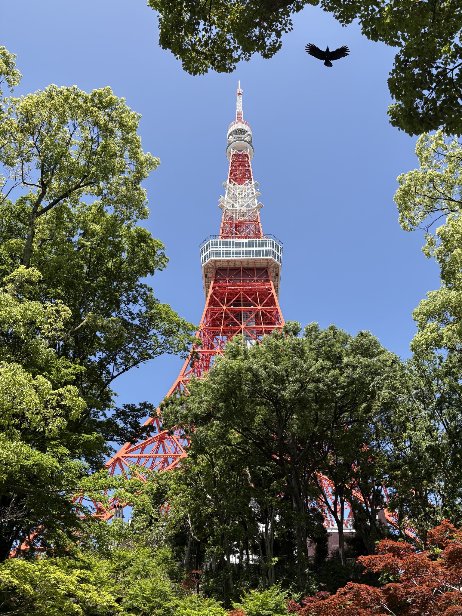 Tokyo, Japan