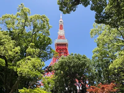 Tokyo tower!